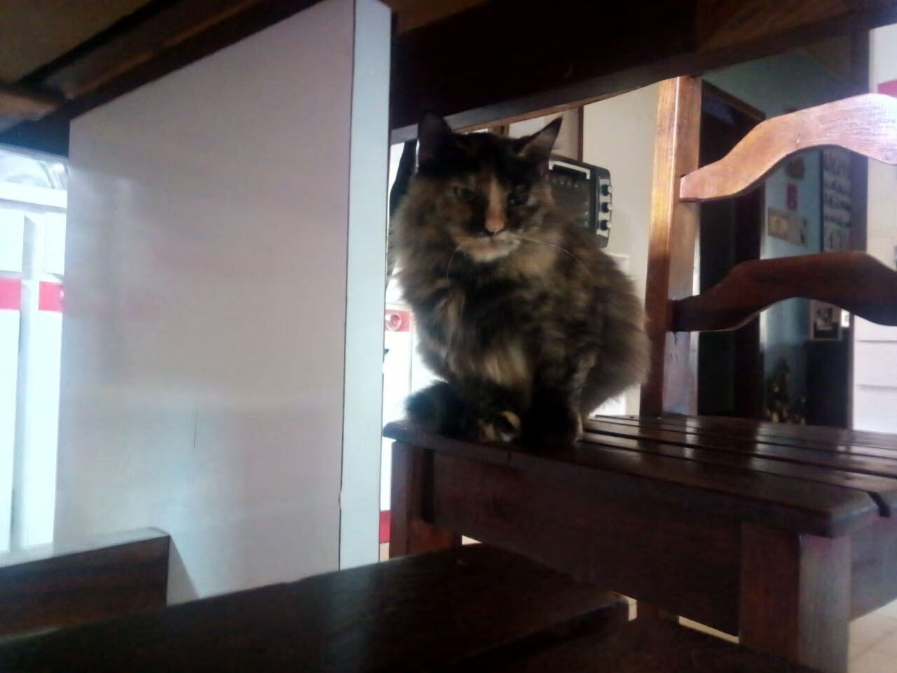 九游APP官网-“中超联赛激烈竞争，排名不断变动”，中超联赛最新排名