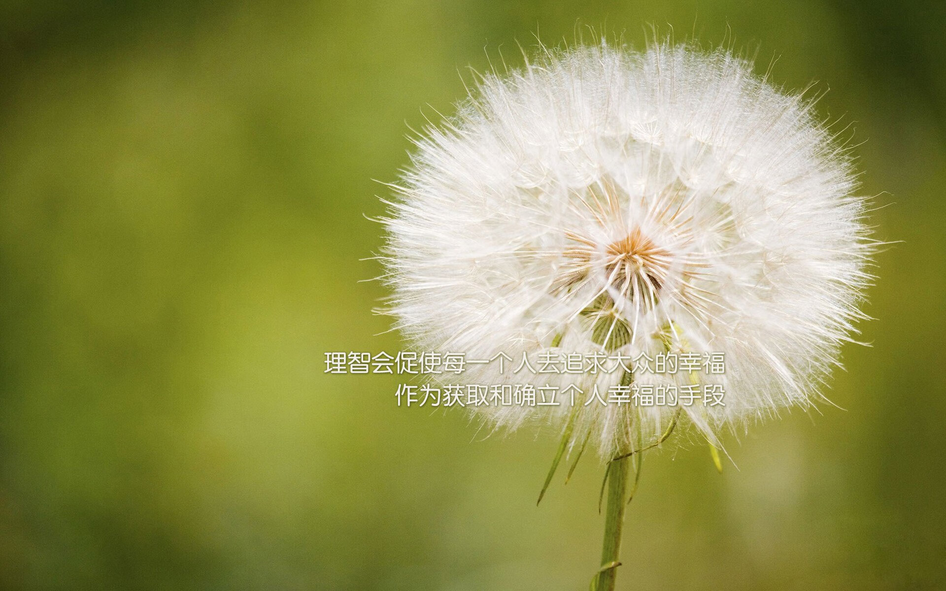 九游APP官网-【球场建设】新棒球场引领城市体育新风尚，棒球场施工方案