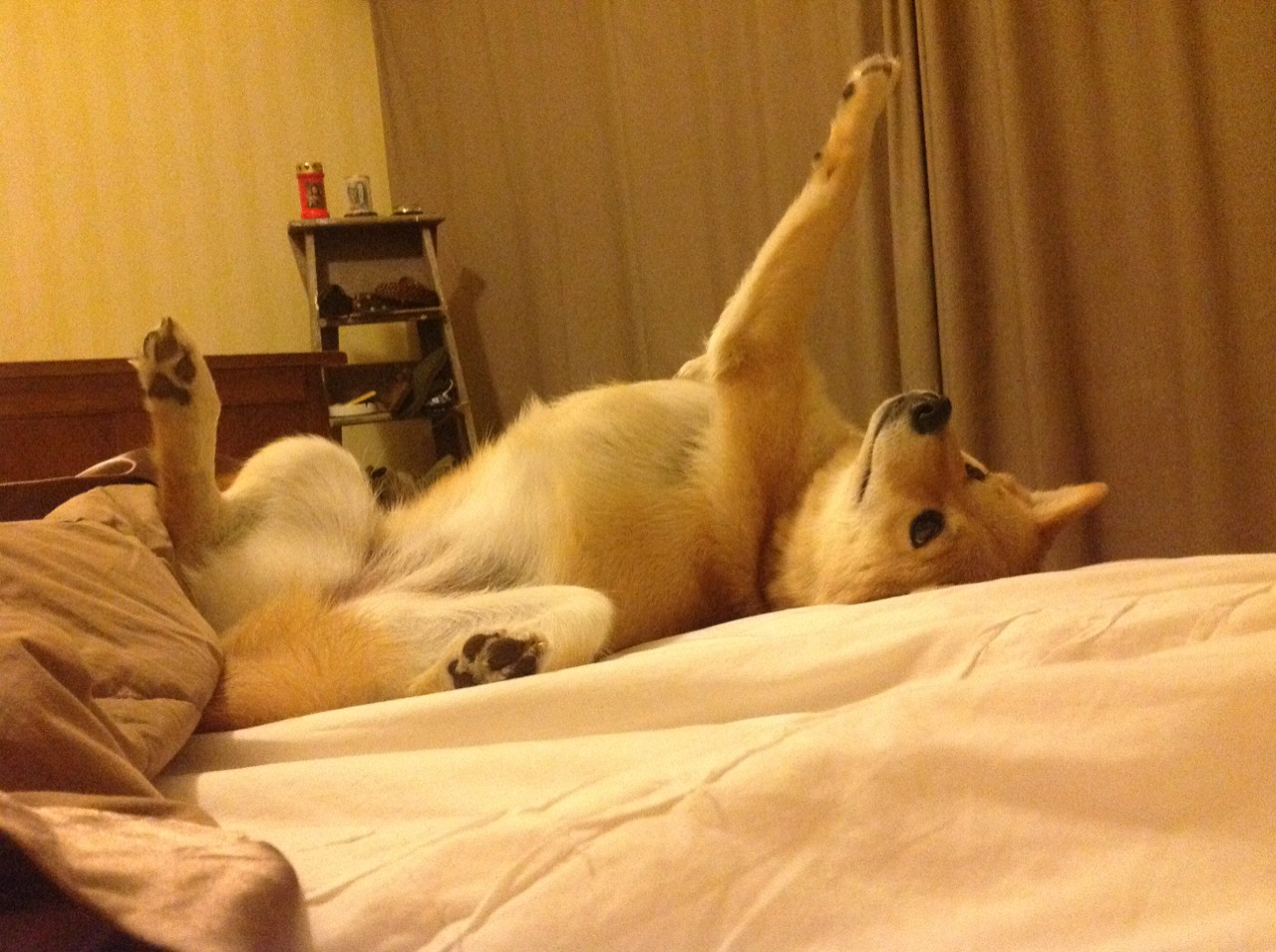 九游游戏中心-中国女篮备战奥运展现强劲势头，中国女篮奥运战况如何