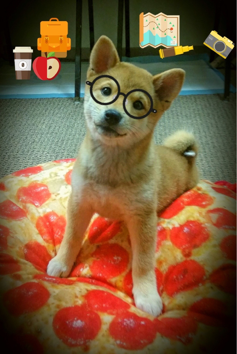 九游APP官网-未来十年：F1的技术革新路线，f1 2020研发