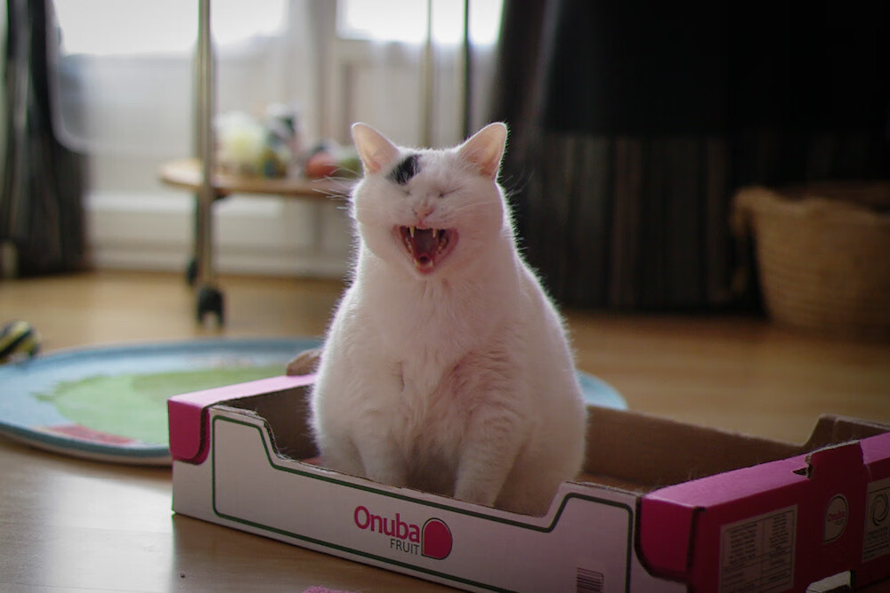 JiuyouAPP下载-法甲未来之星：新晋青年才俊崭露头角，法甲新赛季宣传片