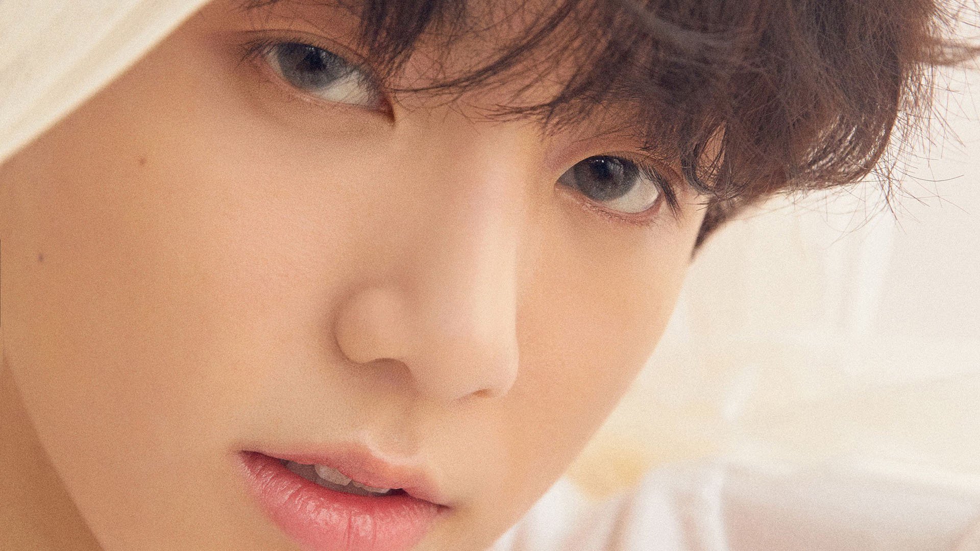 九游网页版官网-行业“裁判+教练+裁判员”三位一体培训体系加快落实,裁判员培养体系