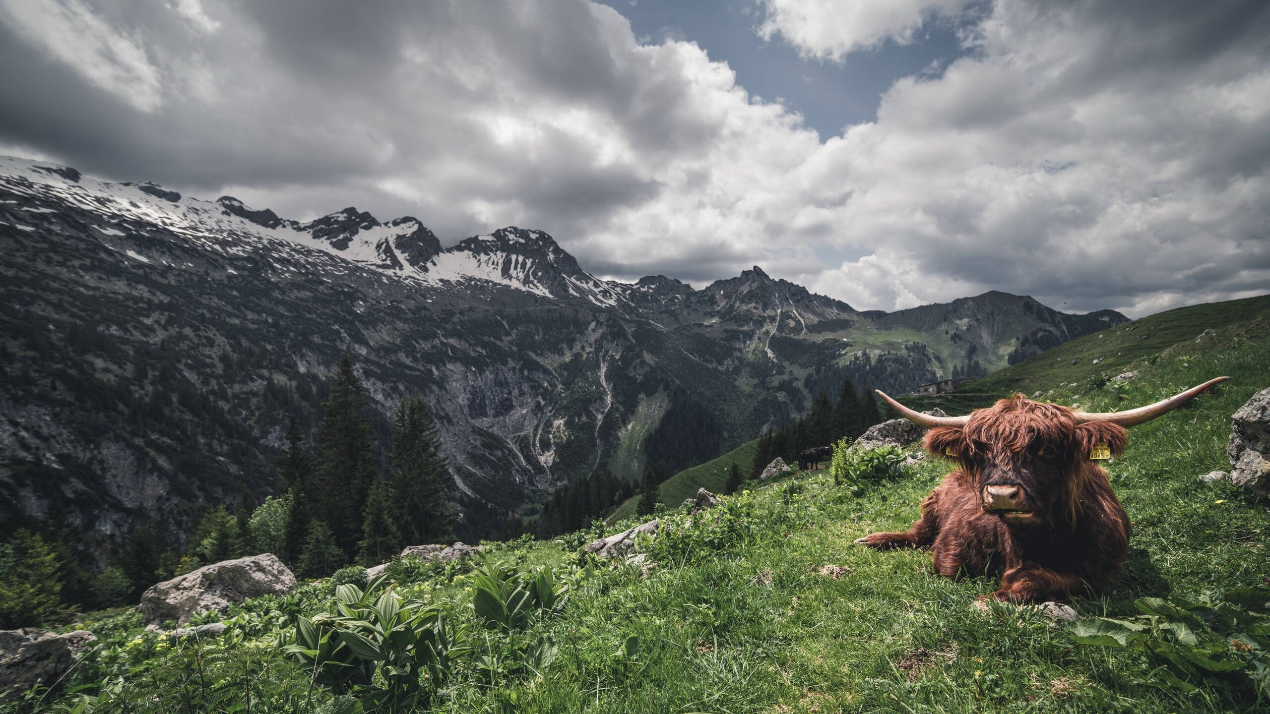 九游app下载中心-超级引擎：提升极速的动力秘密，西安超级引擎文化传媒有限公司