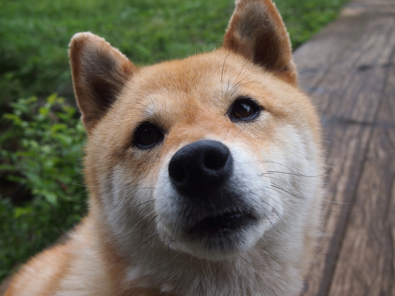 九游娱乐APP-采访焦点:获胜者的心路历程,采访获奖者的十个问题