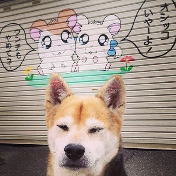 九游娱乐官网 (JIUYOU)-法国女足签下新星前锋，法国女足签下新星前锋有哪些