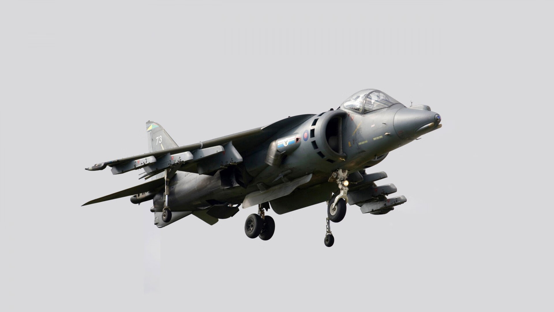 九游娱乐(jiuyou)官方网站-猛龙后卫集训期间状态火热 自信领跑东部球队，猛龙队位置