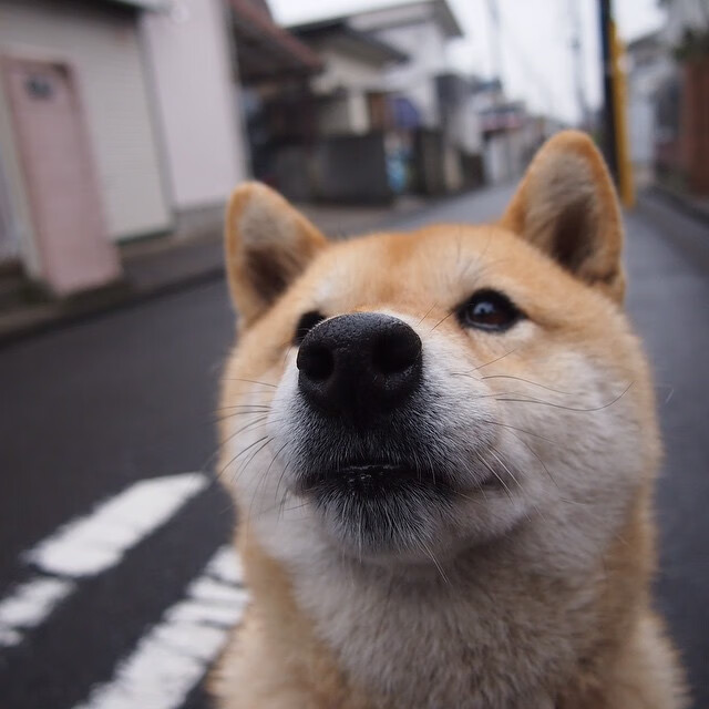 九游网页版入口-体育赛事数字营销策略设计，体育赛事营销有哪些创新方式