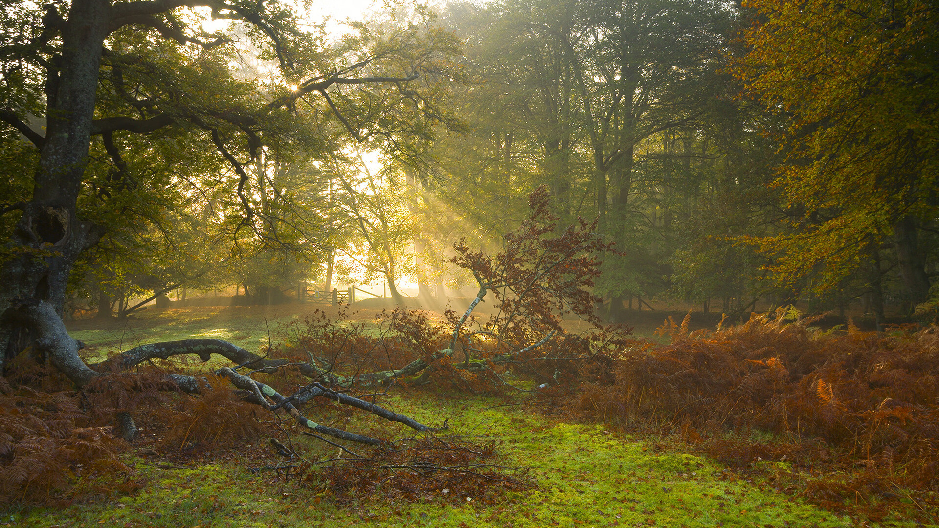九游娱乐官网 (jiuyou)-CBA球队积极开展社区活动 提升社会影响力，社区篮球队