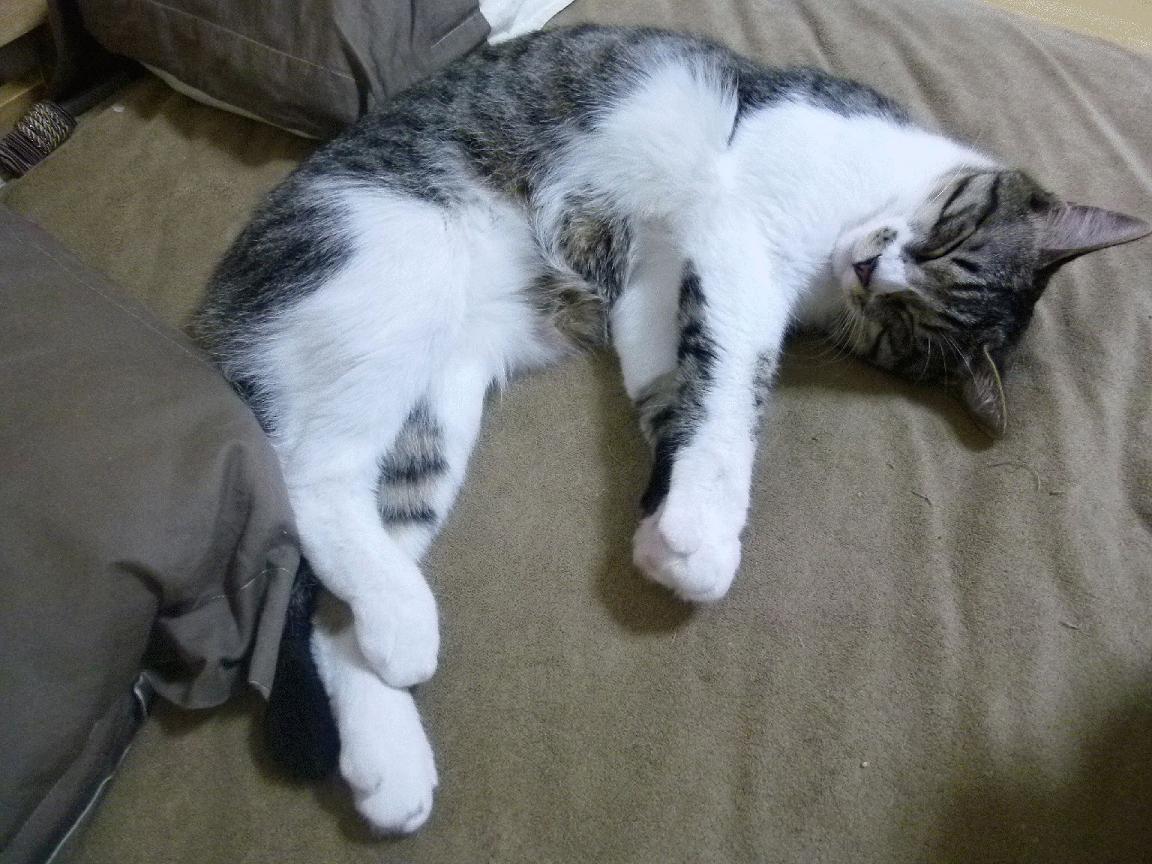 九游娱乐(jiuyou)官网-亚洲杯中国青年队战平 球迷积极支持球队，亚洲青年杯积分榜