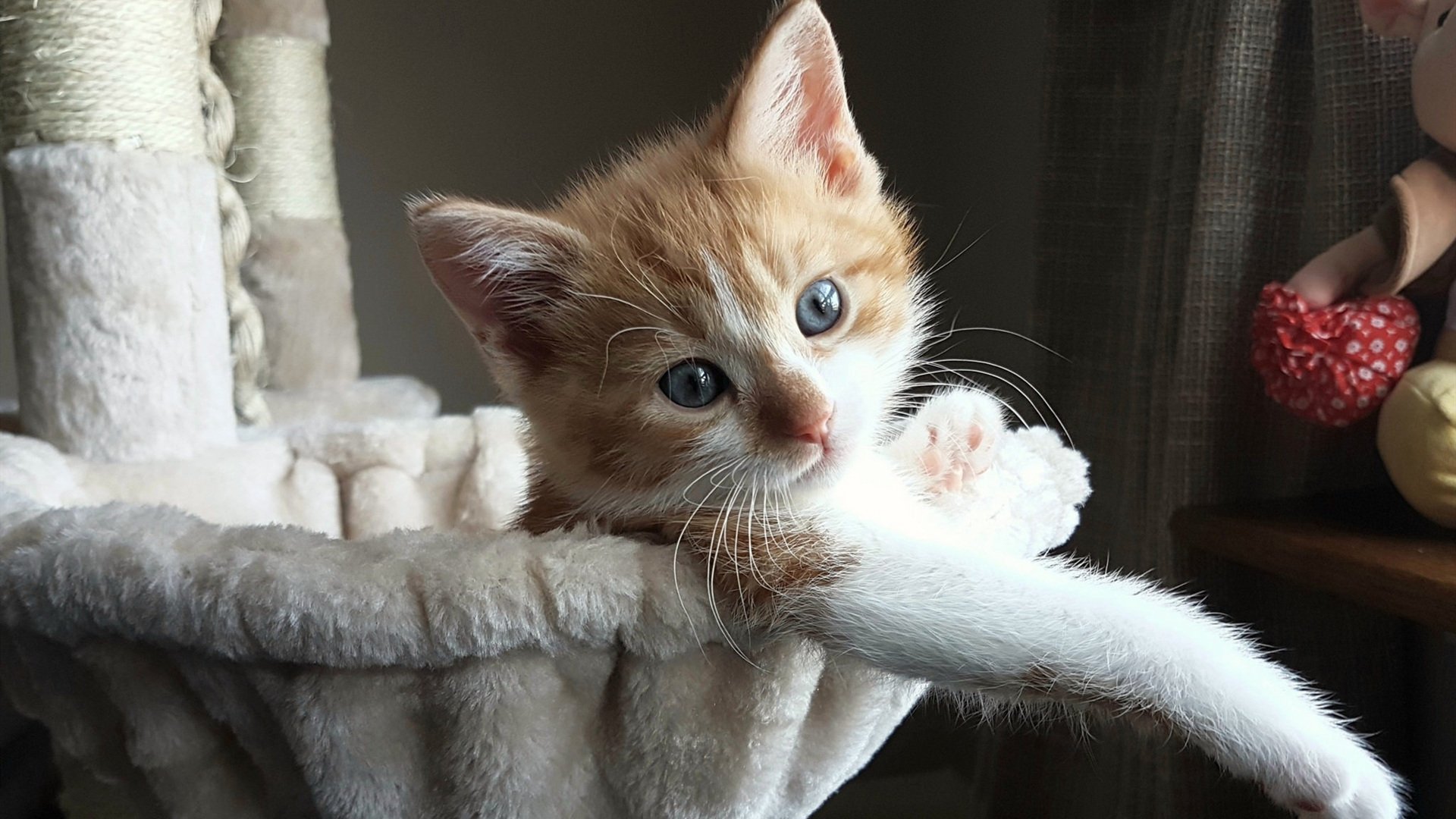 九游下载安装-国家男篮强调临场执行力减少失误率，国家男篮强调临场执行力减少失误率的措施