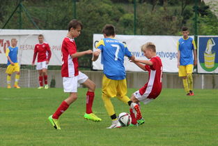 九游-突尼斯希望进攻套路单一，被对手识破，突尼斯是啥意思