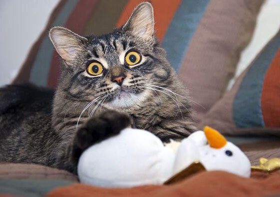 九游网-C罗更新社交媒体晒训练成果照片,c罗的社交媒体