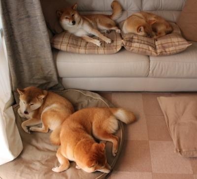 九游网页版官网入口-体育科技公司助力俱乐部进行球员负荷监控与康复管理