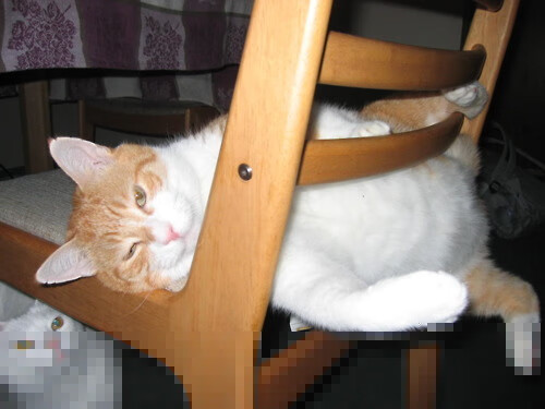 九游网页版官网-跨界合作打造足球主题的创新文创产品，市场火热，创意足球队