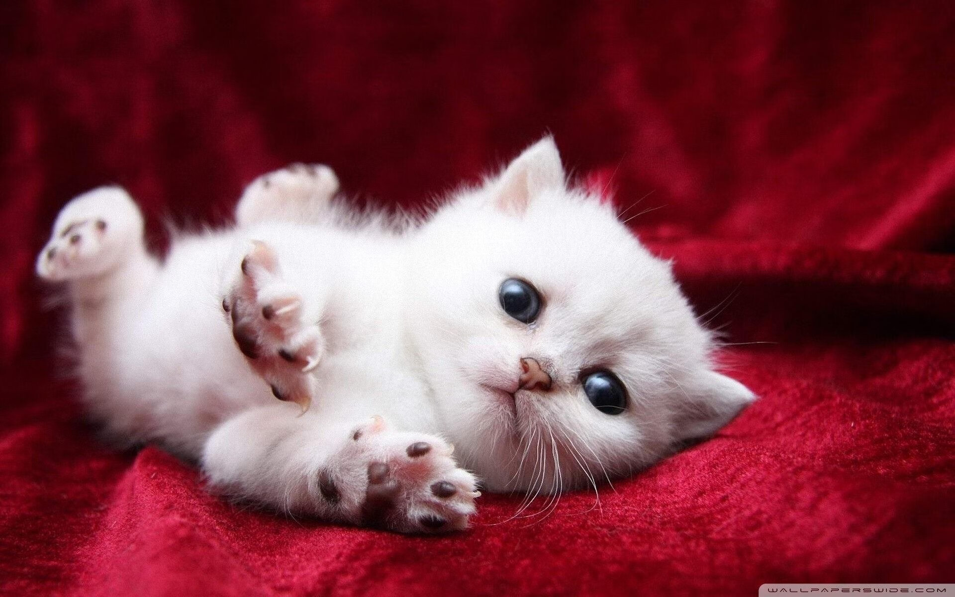 九游游戏中心-马拉松赛事天气预报提醒选手注意调整，马拉松恶劣天气