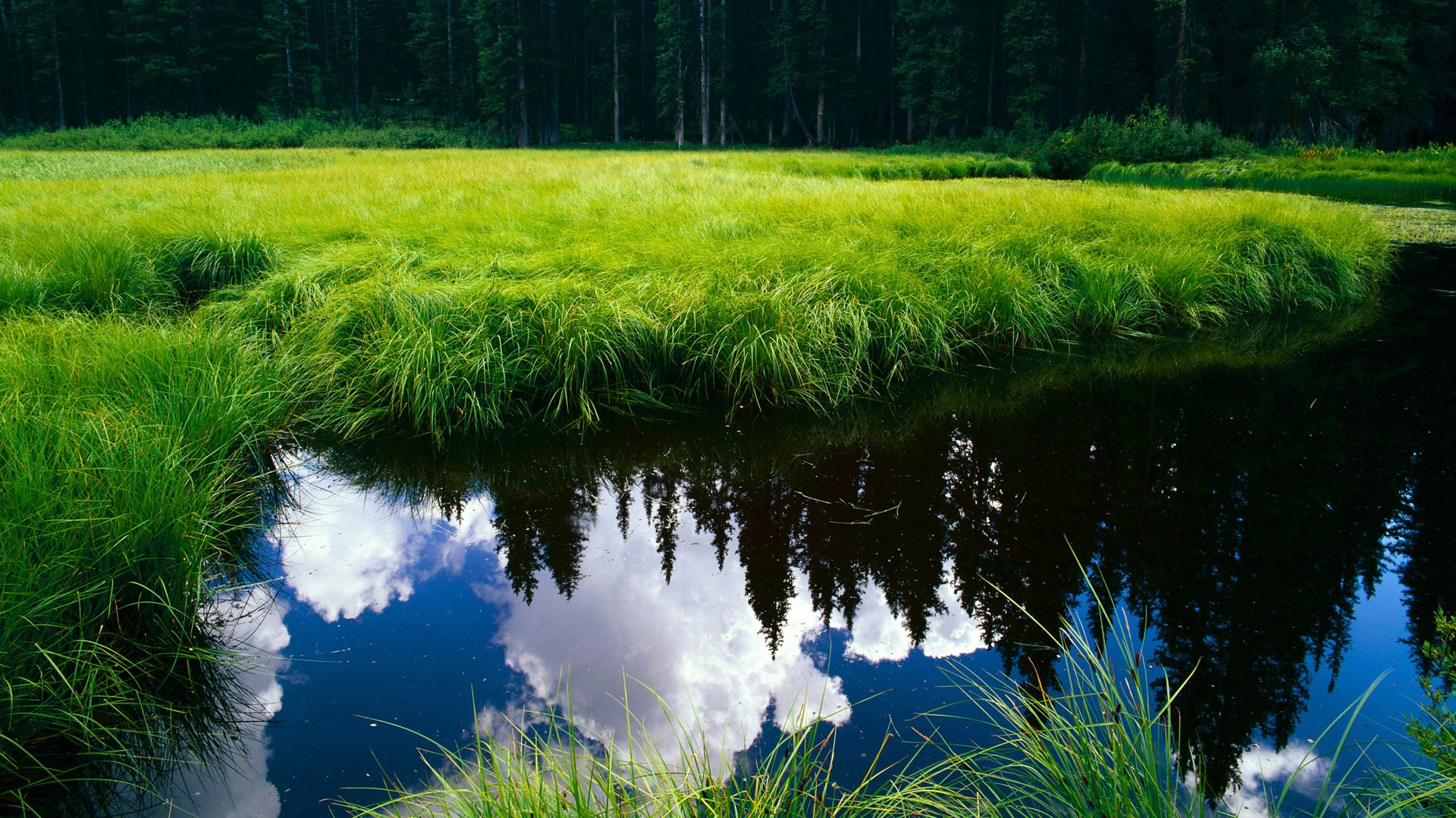 九游下载中心-鹈鹕年轻球员晒出健身房苦练短视频获好评,鹈鹕的主教练